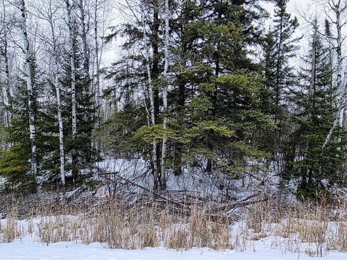TBD County Road 91, International Falls, MN, 56649 | Card Image