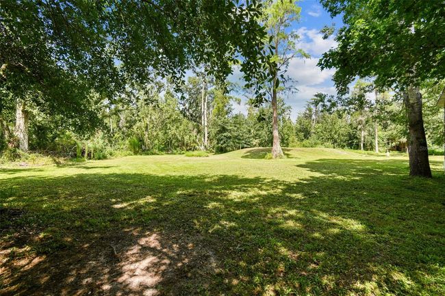 26771 Deacon Loop, House other with 4 bedrooms, 2 bathrooms and null parking in WESLEY CHAPEL FL | Image 67
