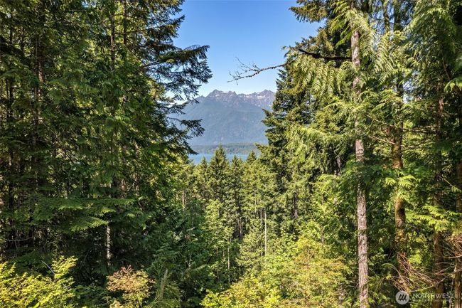 5154 N Lake Cushman Rd, Home with 0 bedrooms, 0 bathrooms and null parking in Hoodsport WA | Image 8