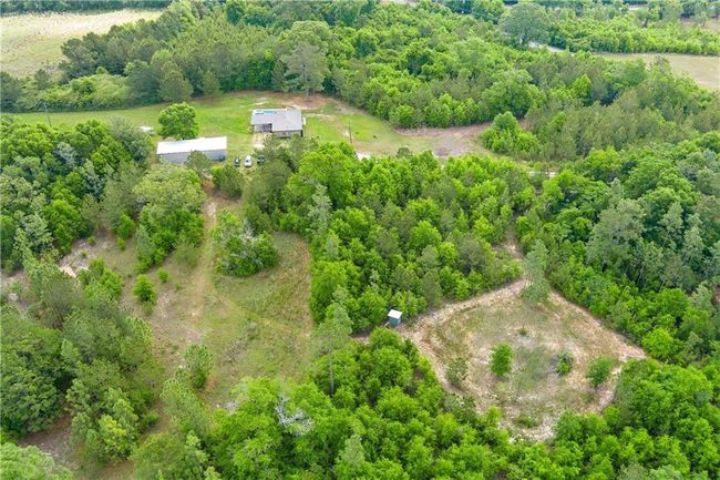Drone / aerial view featuring a forest view | Image 33