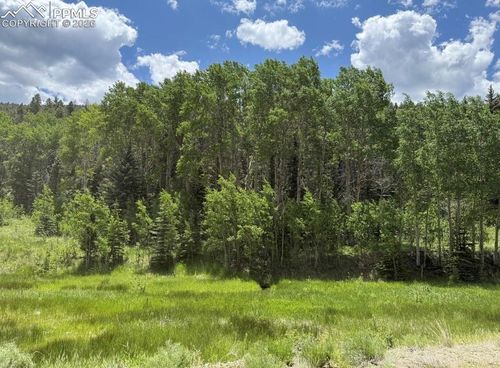 Lot 1 County Road 358, Westcliffe, CO, 81252-9551 | Card Image