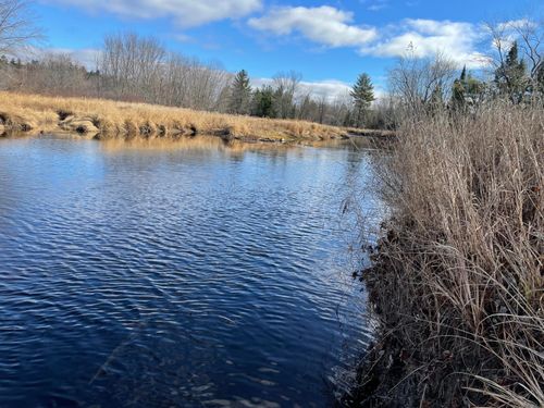 Lot 40 Lord Brook Road, Grand Falls Twp, ME, 04418 | Card Image