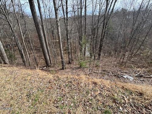 lots 444 a Sky View Dr, Sevierville, TN, 37876 | Card Image