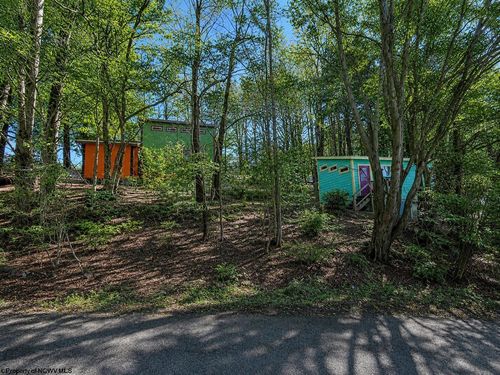 142 Jacob Pase St, Thomas, WV, 26292 | Card Image