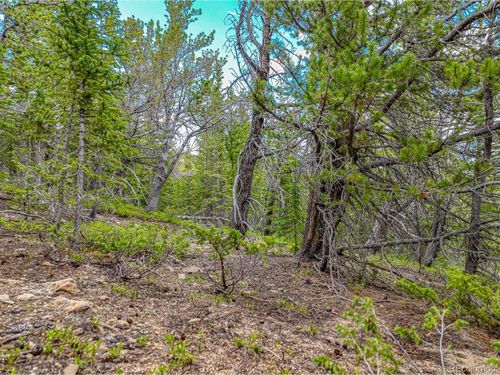 111 Mosquito Creek Rd, Black Hawk, CO, 80422 | Card Image