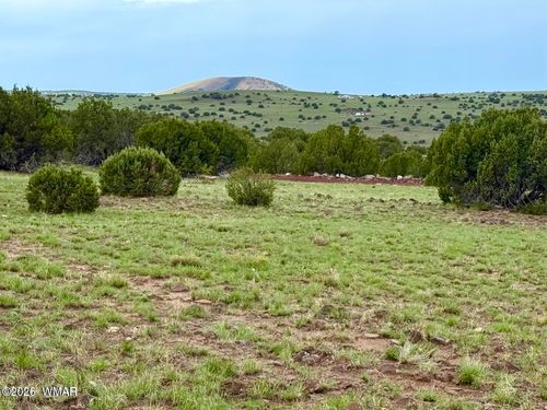 121 Spruce St, Concho, AZ, 85924 | Card Image
