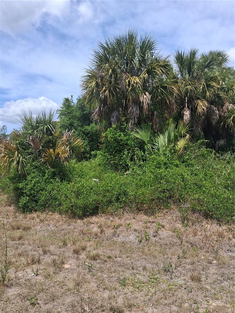 Land in NORTH PORT 5
