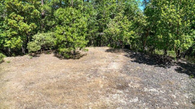 6 Lower River | Image 6