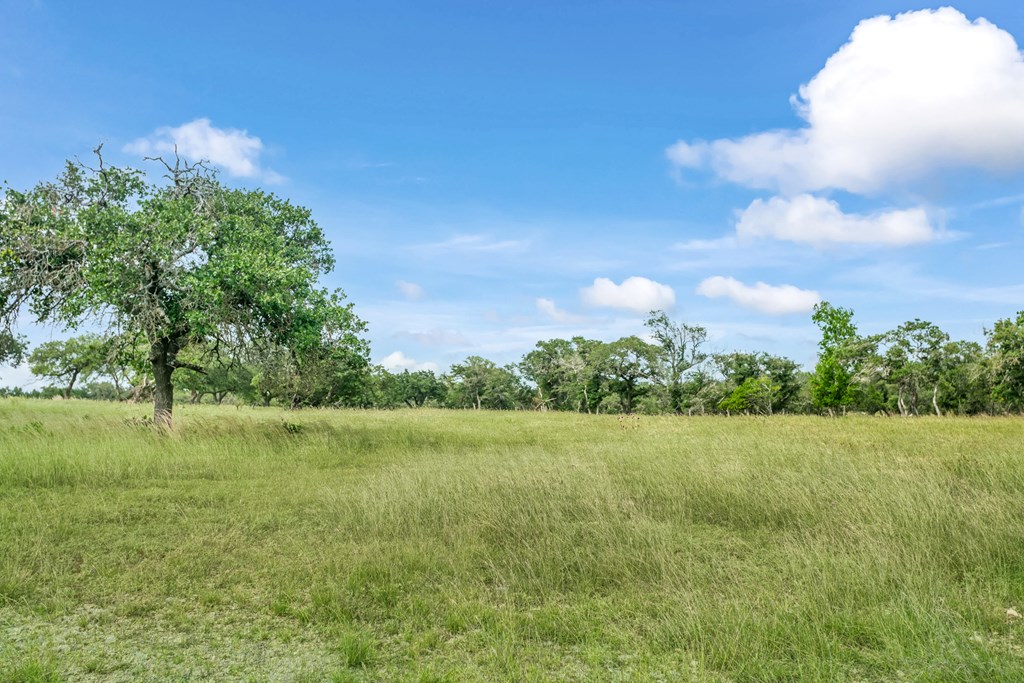 Land in Fredericksburg 4