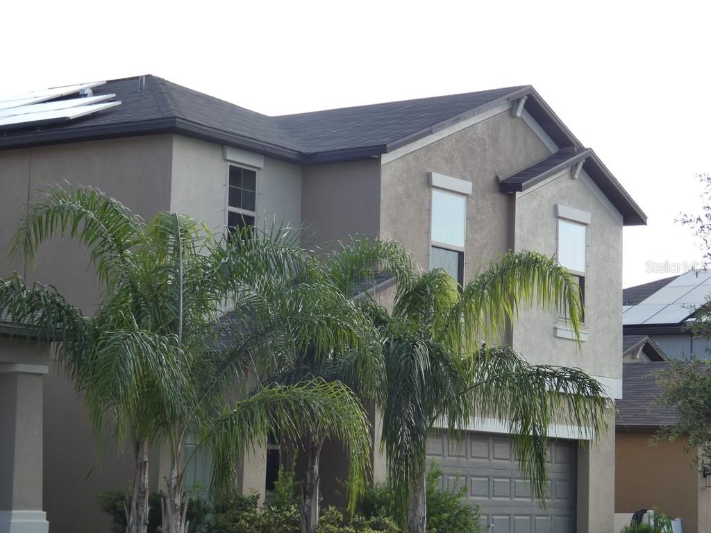 Royal Agave Ct, Ruskin, FL 33570