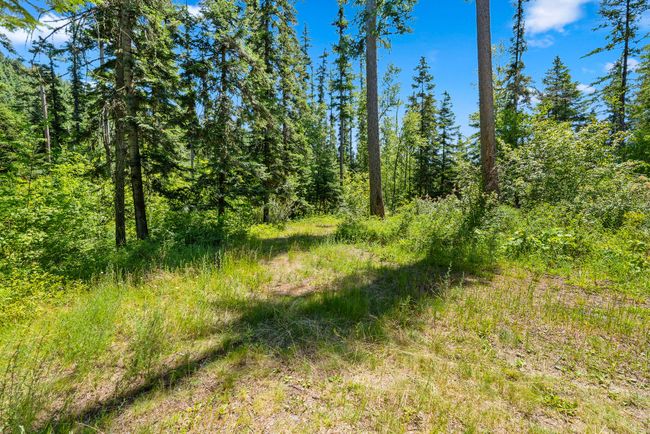 View of wooded area | Image 32