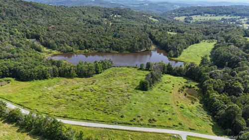 Waterfront Lot 15 Meadow Lane, Fremont, NY, 12736 | Card Image