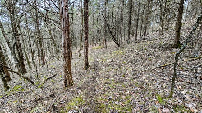 5900 S County Road 700 E, Home with 0 bedrooms, 0 bathrooms and null parking in Dillsboro IN | Image 45