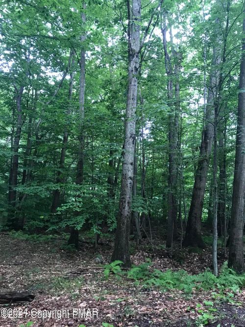 604/605 Wagner Way, Pocono Lake, PA, 18347 | Card Image