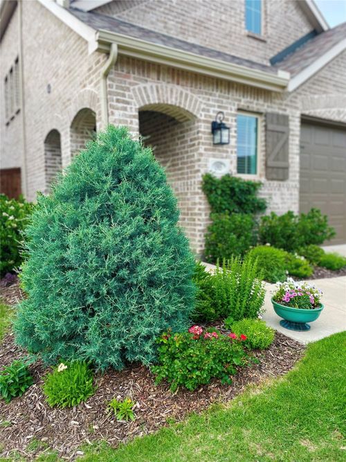 1905 Jumper Fields Dr, Aubrey, TX, 76227-4394 | Card Image