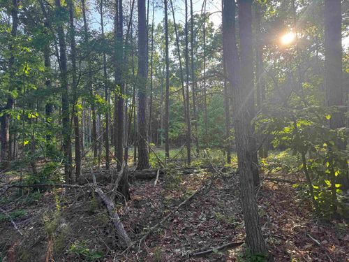 475 Summer House Rd, Cherokee, AL, 35616 | Card Image