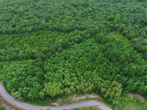 292 Overlook Dr, Spencer, TN, 38585-6510 | Card Image