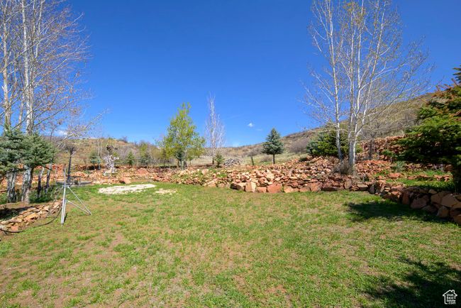 View of yard | Image 7
