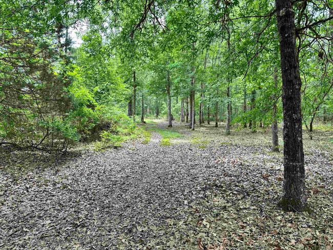 000 Oak Dale Rd, Home with 0 bedrooms, 0 bathrooms and null parking in Lonoke AR | Image 28
