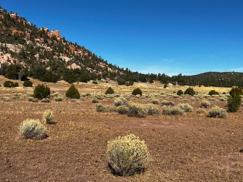 Lot 5B Box S Ranch Road, Ramah, NM, 87321 | Card Image