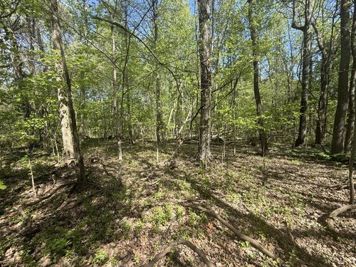 0 Dunbar Cave Rd, Clarksville, TN, 37043 | Card Image