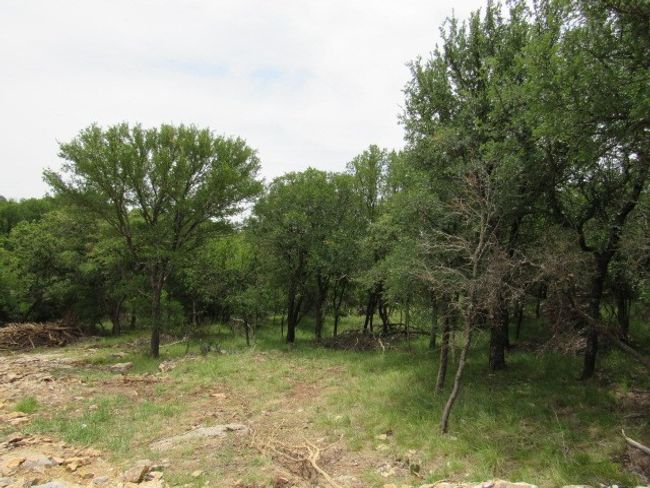3210 Captains Cv, House other with 3 bedrooms, 1 bathrooms and null parking in May TX | Image 10