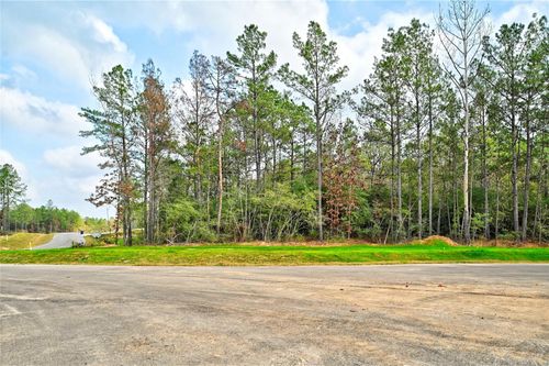 4521 Marfa Ct, Montgomery, TX, 77316 | Card Image