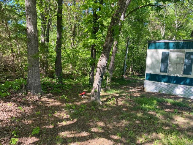 22560 Highway 14, House other with 2 bedrooms, 2 bathrooms and null parking in Mountain View AR | Image 4