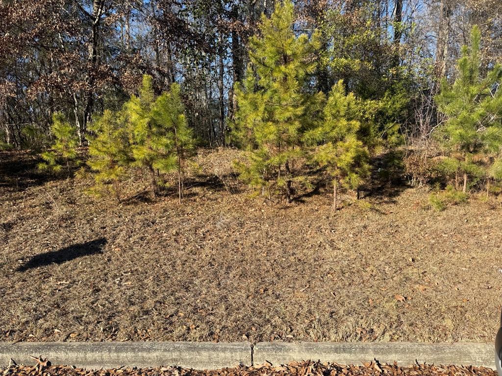 Land in Ozark