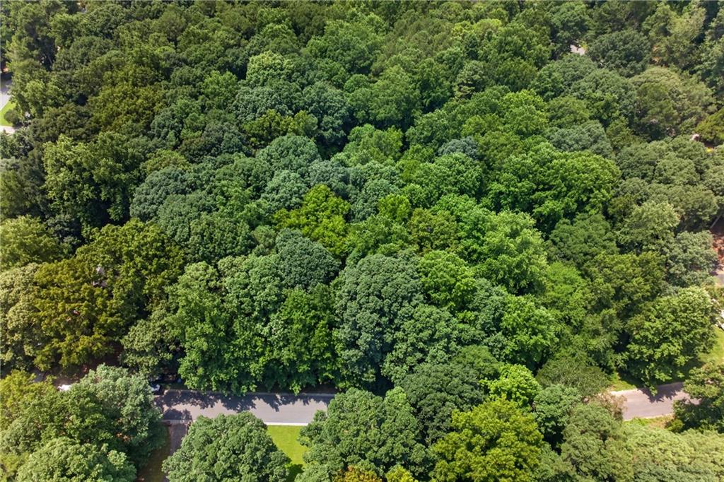 Land in Auburn 2
