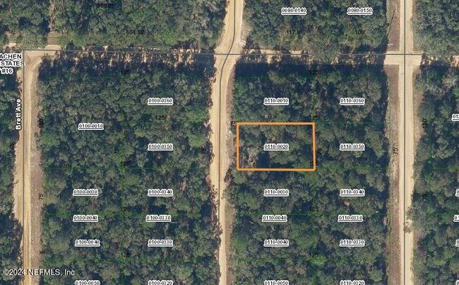 LOT 2 Neilsen Avenue, Home with 0 bedrooms, 0 bathrooms and null parking in Interlachen FL | Image 4