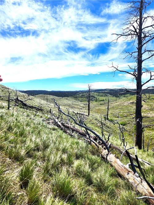 Lot 201 Coyote Pass, Columbus, MT, 59019 | Card Image