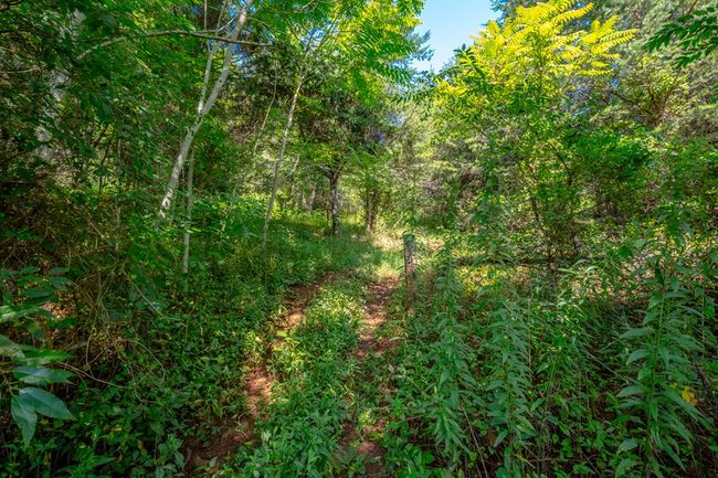 Lot 22 Lone Ash Rd, Home with 0 bedrooms, 0 bathrooms and null parking in Barren Springs VA | Image 6