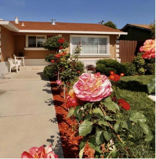 2429 Poplar Dr, San Jose, CA, 95122-3928 | Card Image