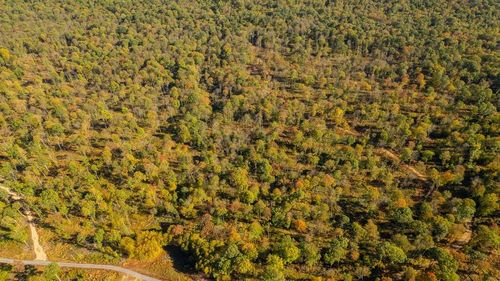7A Gobbler Ridge Road, Sigel, PA, 15860 | Card Image