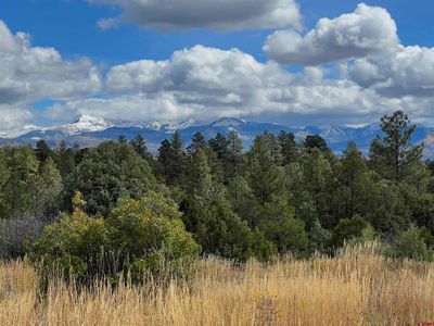 TBD 38 Road, Home with 0 bedrooms, 0 bathrooms and null parking in Mancos CO | Image 1