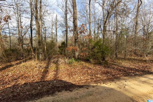 35-0 River Oaks Landing Cir, Orrville, AL, 36767 | Card Image