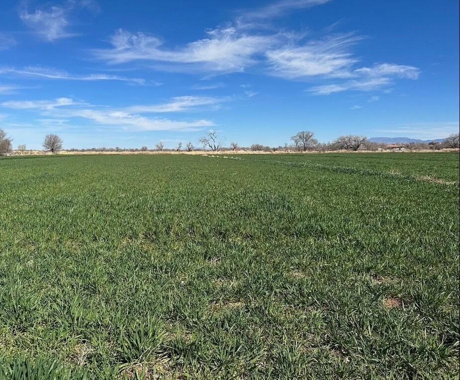 Land in Los Lunas