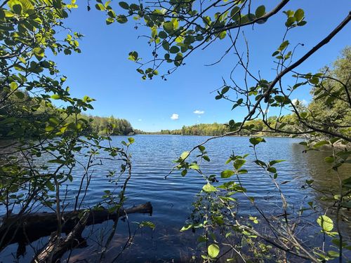 Lot 8 Pomeroy Lake Rd, Marenisco, MI, 49947 | Card Image