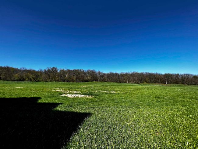 W6118 Durst Rd, Home with 4 bedrooms, 2 bathrooms and null parking in NEW GLARUS WI | Image 39