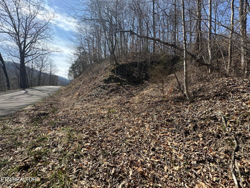  Tbd Cave Springs Rd, Dryden, VA, 24243 | Card Image