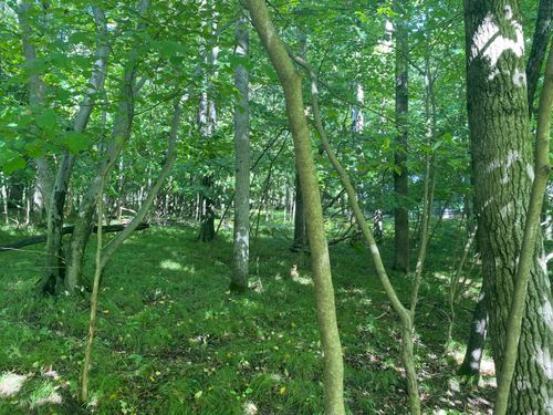 369-12100 Belle Isle Dr, Canadian Lakes, MI, 49346-9038 | Card Image