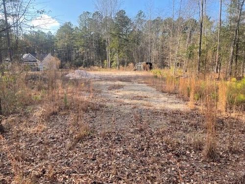 Lot 32 Stapleton Acres Ct, Stapleton, GA, 30823 | Card Image