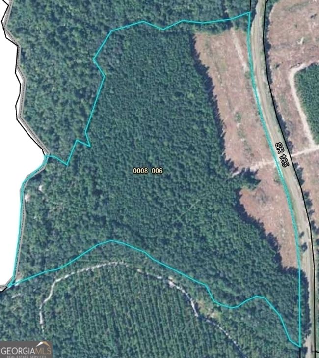 0 Highway 185, Home with 0 bedrooms, 0 bathrooms and null parking in Saint George GA | Image 62