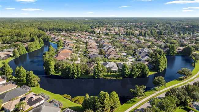 10751 Tavistock Dr, House other with 4 bedrooms, 4 bathrooms and null parking in Tampa FL | Image 63