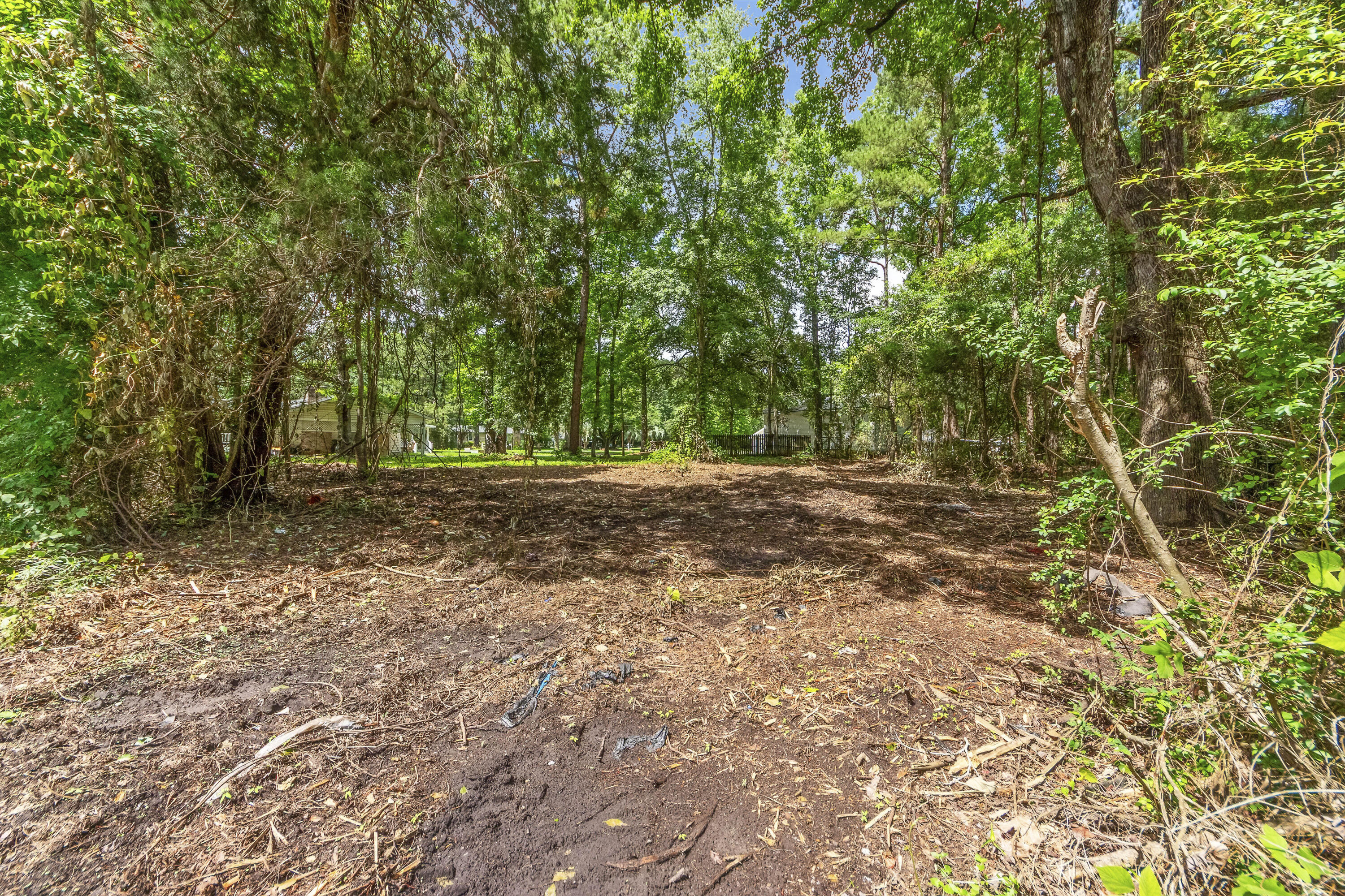 Land in Summerville 3