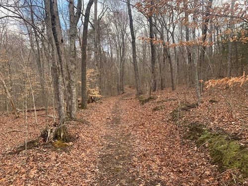 Lot 4 &5 Peaceful Ln, Spencer, TN, 38585 | Card Image