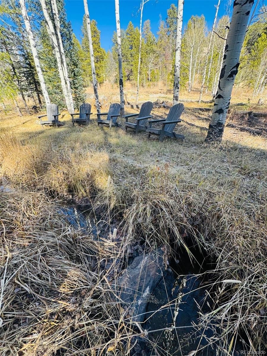 Land in Conifer 2