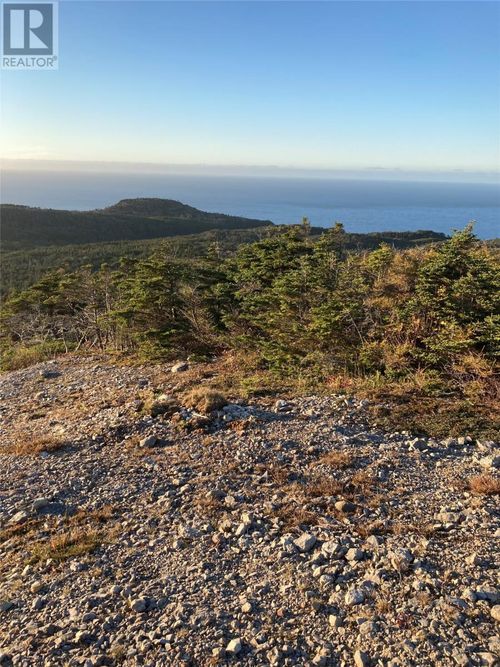 1690 Oceanview Dr, Cape St George, NL, A0N1T1 | Card Image