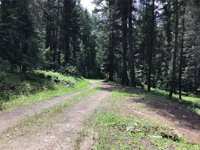 Driveway | Image 23